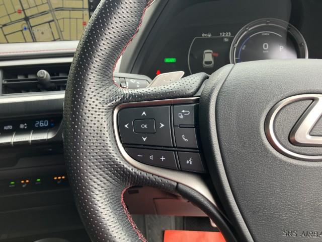 レクサスUX（新潟県燕市）