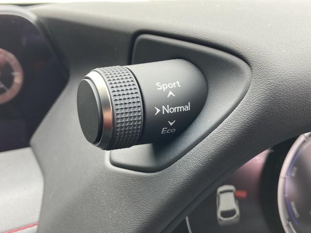 レクサスUX（新潟県燕市）