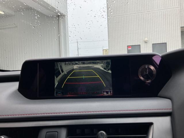 レクサスUX（新潟県燕市）