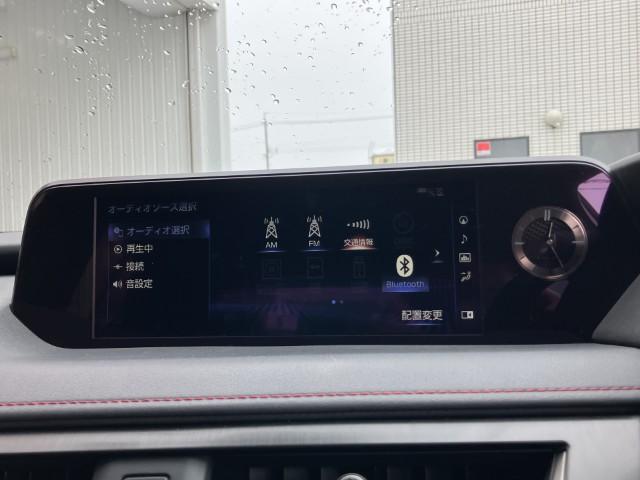 レクサスUX（新潟県燕市）