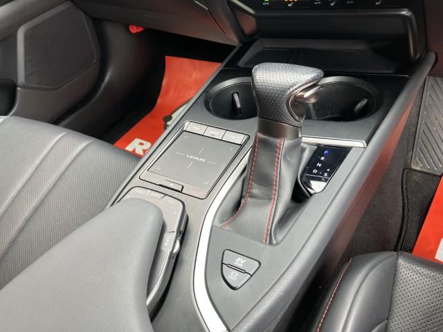 レクサスUX（新潟県燕市）