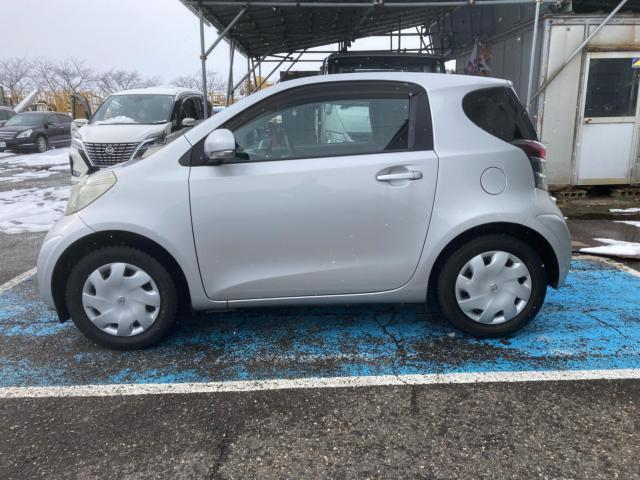 iＱ（新潟県新潟市西蒲区）