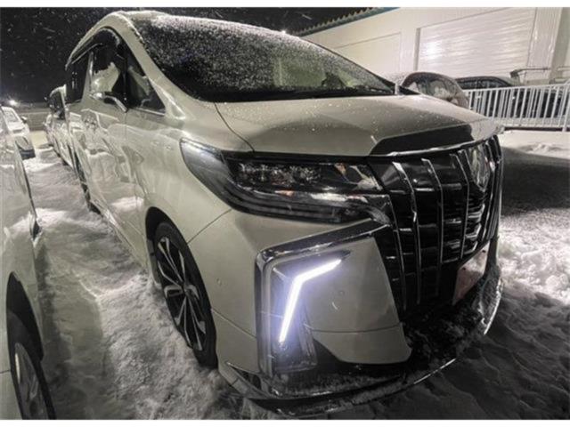 アルファード（新潟県新潟市東区）