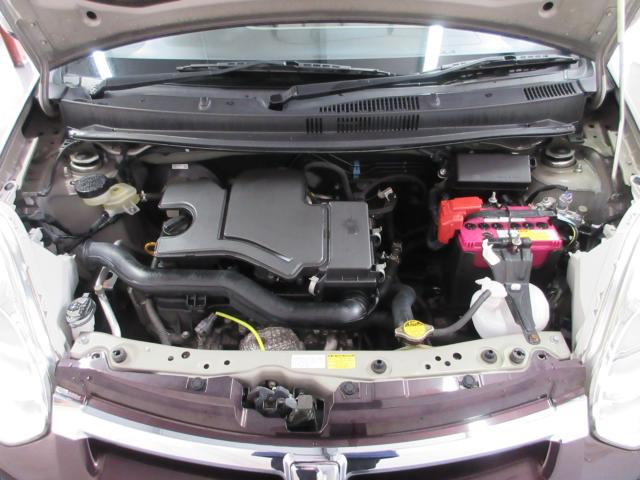 パッソ（新潟県新潟市南区）