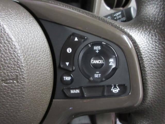 N-WGN（新潟県新潟市南区）