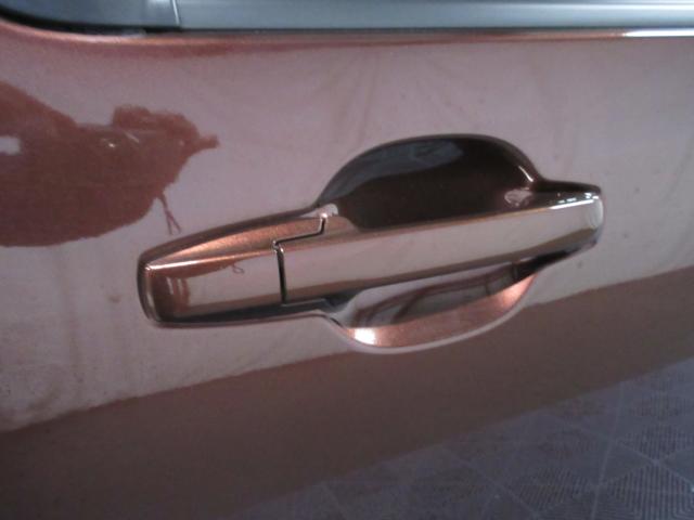 N-WGN（新潟県新潟市南区）