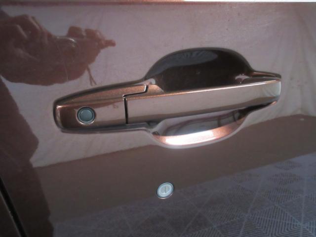 N-WGN（新潟県新潟市南区）