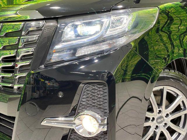 アルファード（新潟県長岡市）