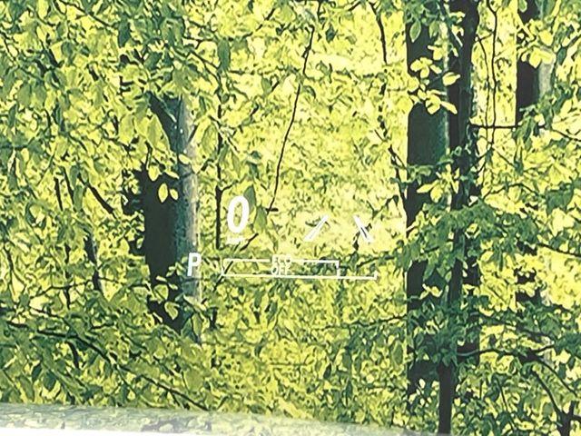 レクサスＲＸ（新潟県新潟市東区）