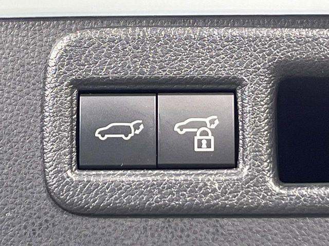 ハリアー（新潟県新潟市南区）