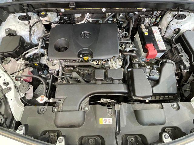 ハリアー（新潟県新潟市南区）