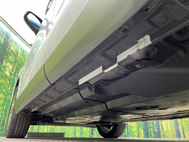 ハリアー（新潟県新潟市南区）