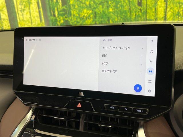 ハリアー（新潟県新潟市南区）