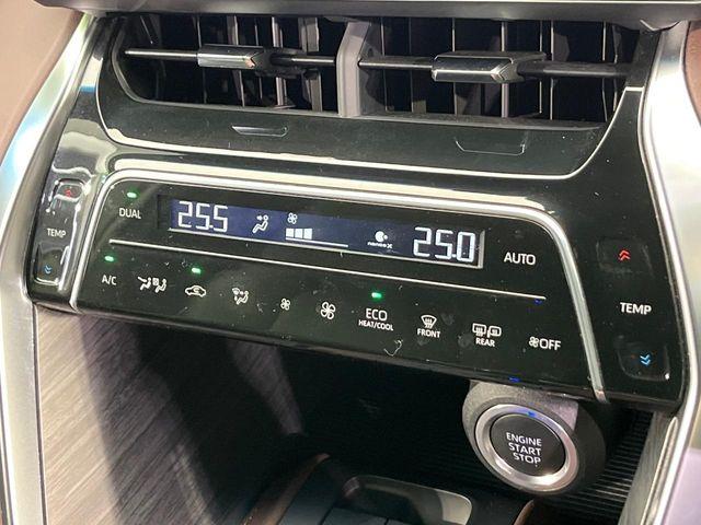 ハリアー（新潟県新潟市南区）