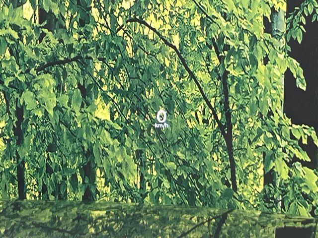 CX-60（新潟県新潟市南区）