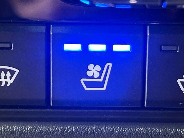 CX-60（新潟県新潟市南区）