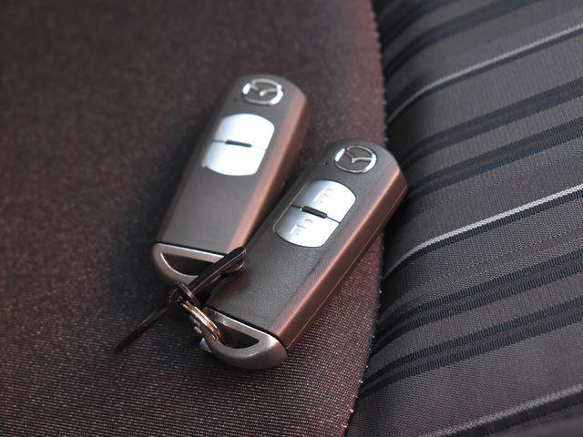 デミオ（新潟県上越市）画像17