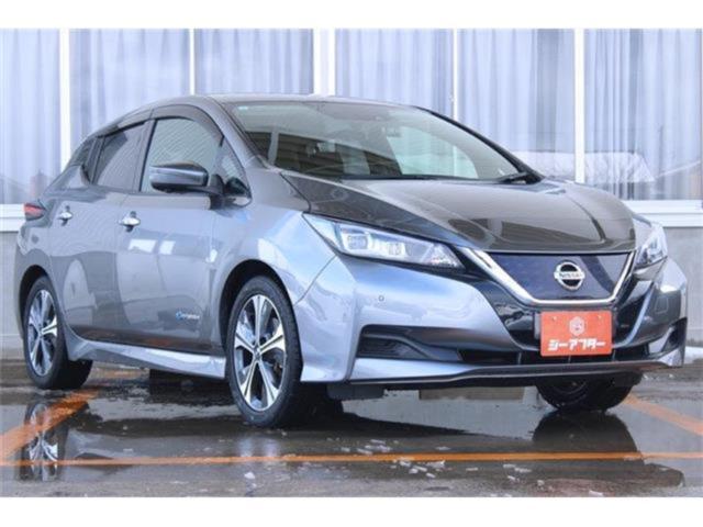 リーフ（新潟県新潟市東区）画像7