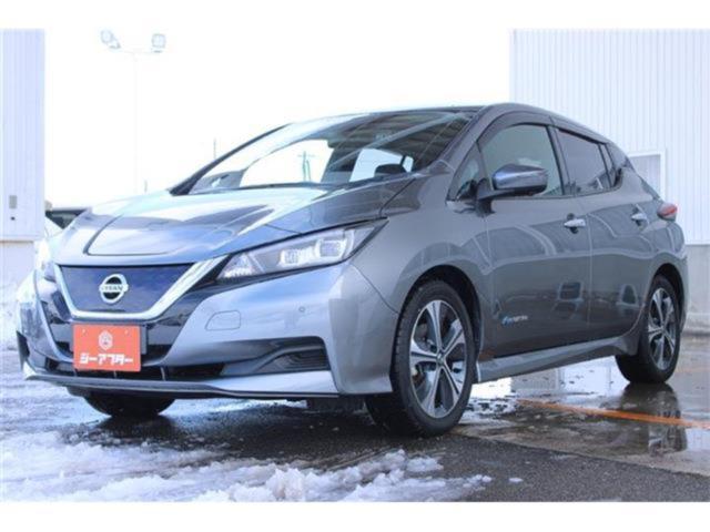 リーフ（新潟県新潟市東区）画像9