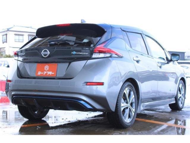 リーフ（新潟県新潟市東区）画像13