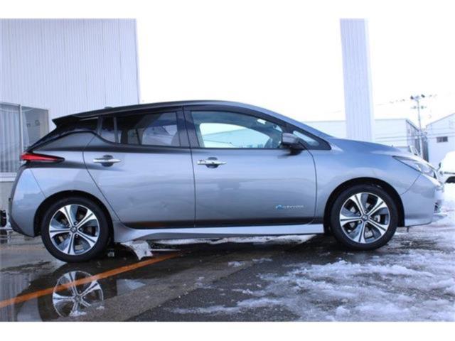 リーフ（新潟県新潟市東区）画像14