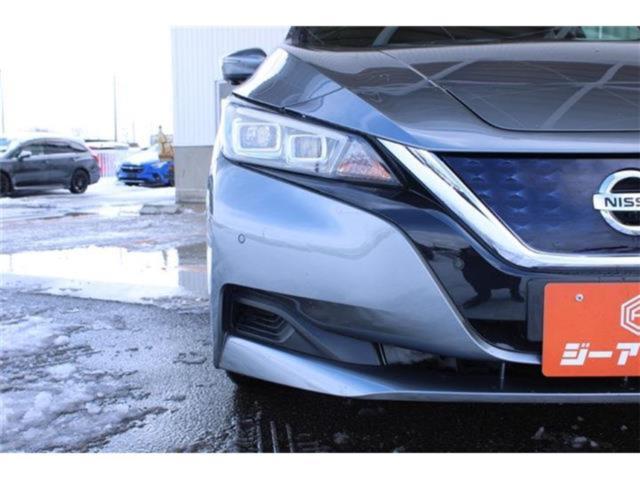 リーフ（新潟県新潟市東区）画像17