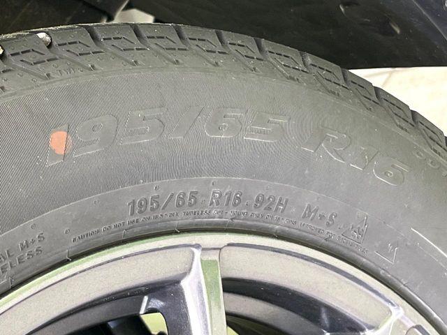 ライズ（新潟県新潟市東区）