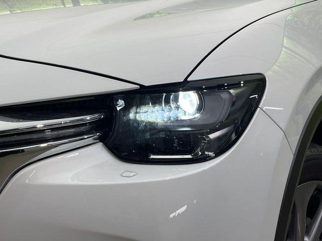 CX-60（新潟県新潟市南区）画像12