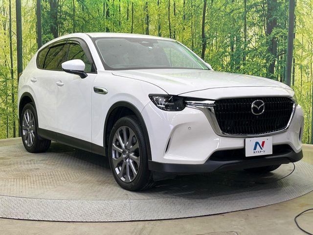 CX-60（新潟県新潟市南区）画像16