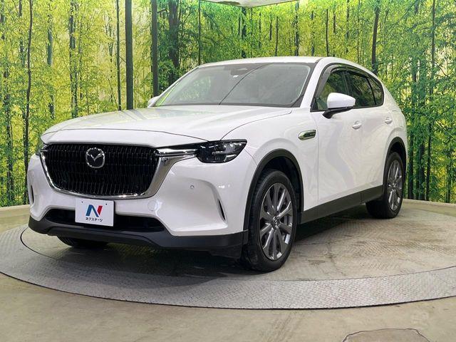 CX-60（新潟県新潟市南区）画像21