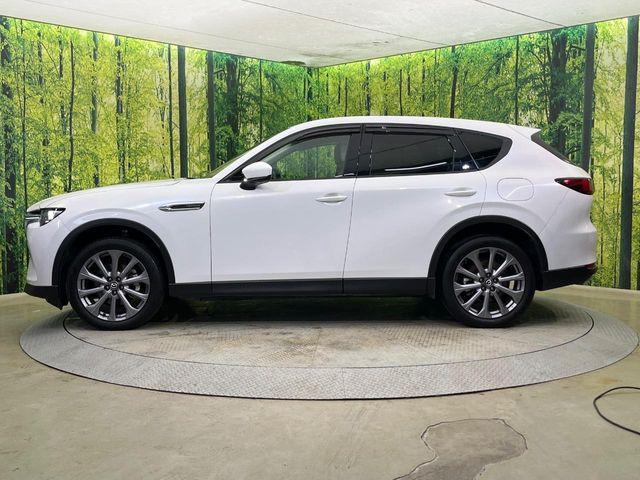 CX-60（新潟県新潟市南区）画像23