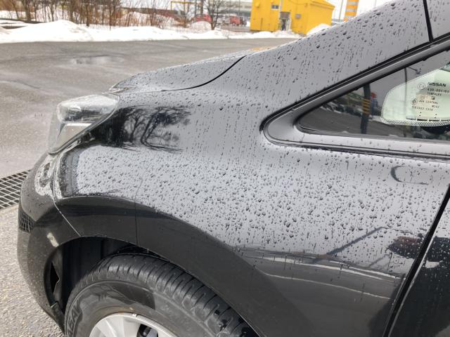 ノート（新潟県新潟市西蒲区）