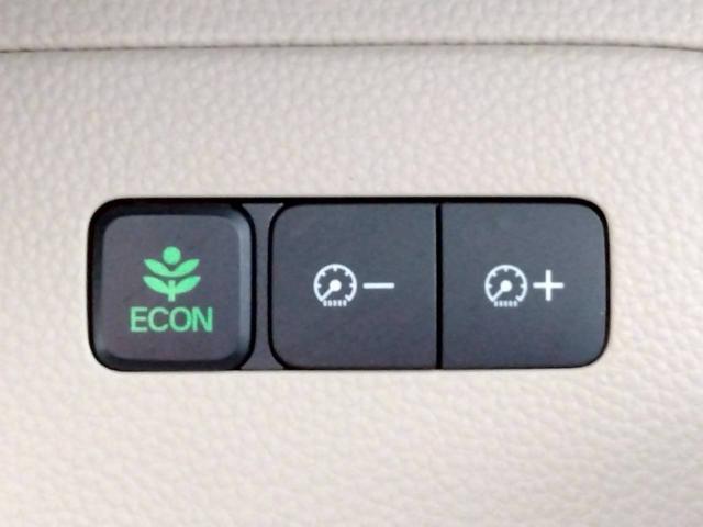 N＿BOX（新潟県十日町市）画像31