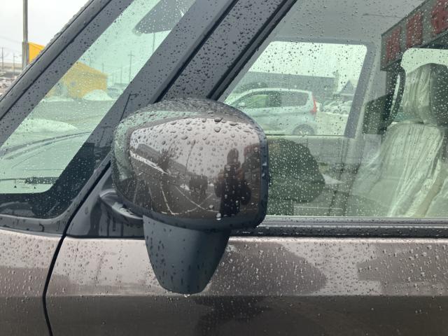 ルークス（新潟県新潟市西蒲区）