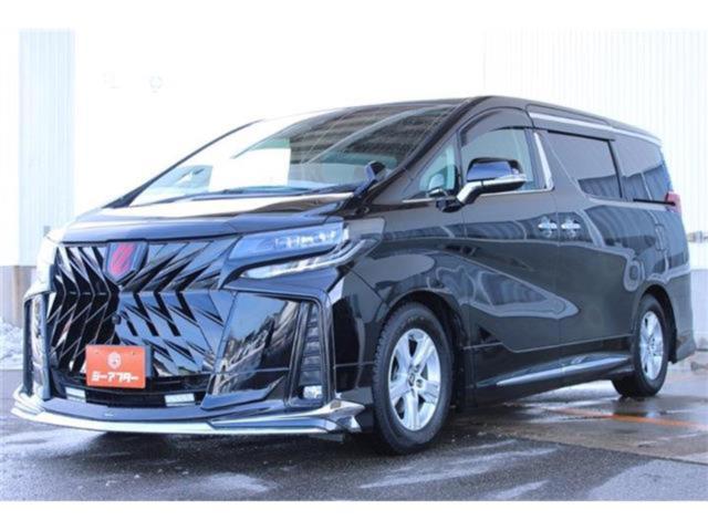 アルファード（新潟県新潟市東区）