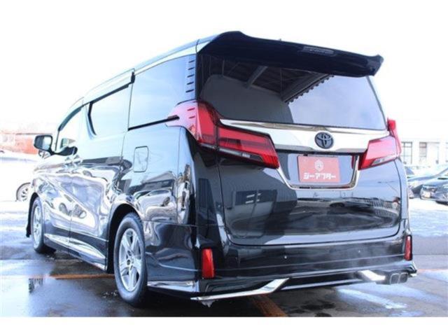 アルファード（新潟県新潟市東区）