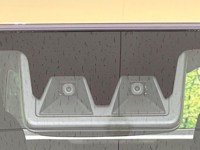 タフト（新潟県長岡市）