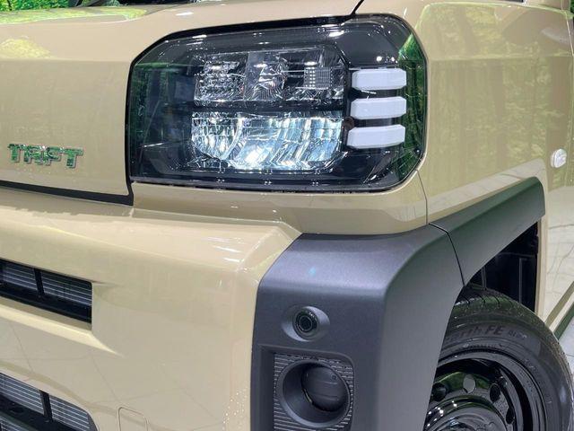 タフト（新潟県長岡市）