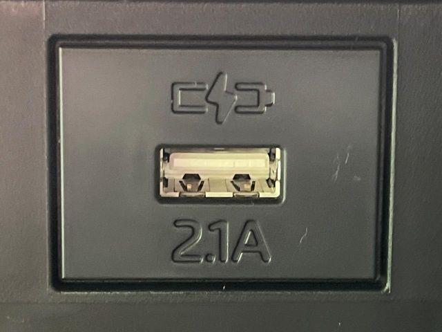 タフト（新潟県長岡市）