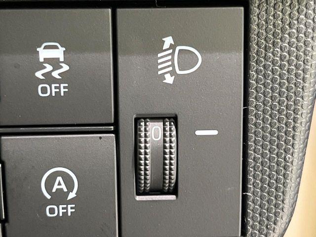 タフト（新潟県長岡市）