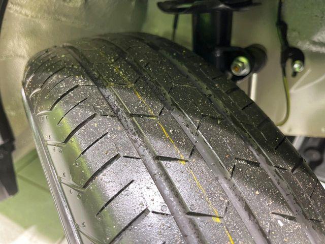 タフト（新潟県長岡市）