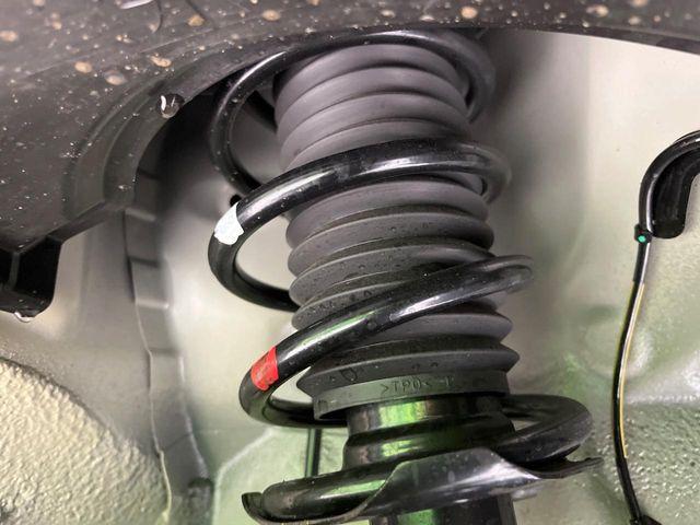 タフト（新潟県長岡市）