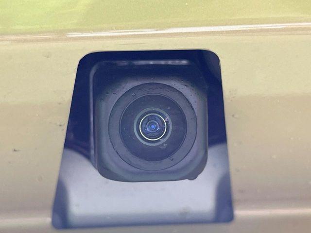 タフト（新潟県長岡市）