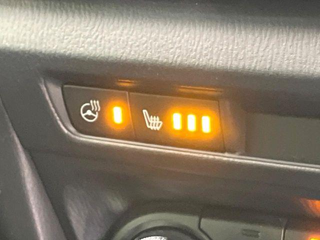 アクセラスポーツ（新潟県新潟市東区）