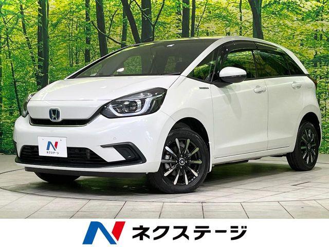 フィット（新潟県長岡市）