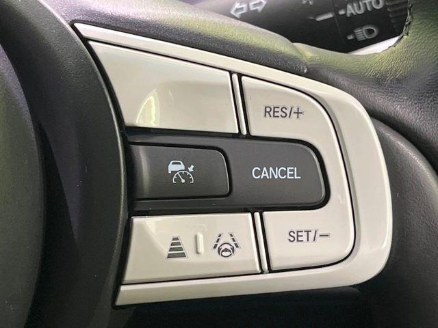 フィット（新潟県長岡市）