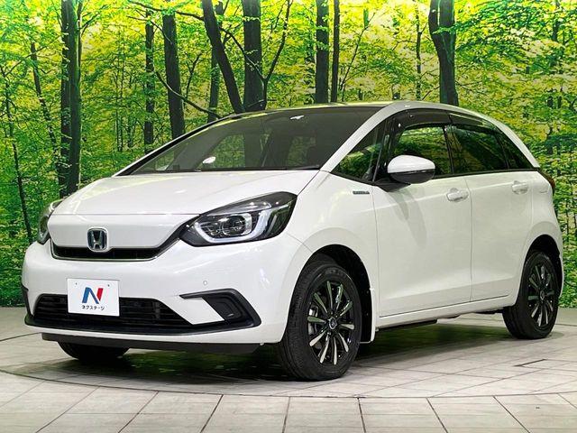 フィット（新潟県長岡市）