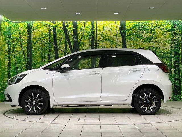 フィット（新潟県長岡市）