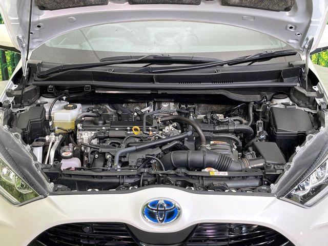 ヤリス(新潟県新潟市東区)