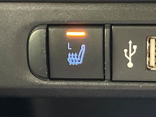 ヤリス(新潟県新潟市東区)